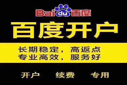 某行业sem竞价托管成功案例：精准投放的秘诀