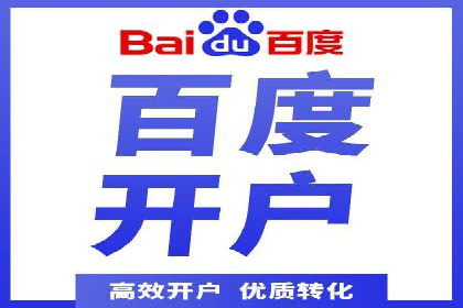 百度竞价推广运营策略：成功案例解析
